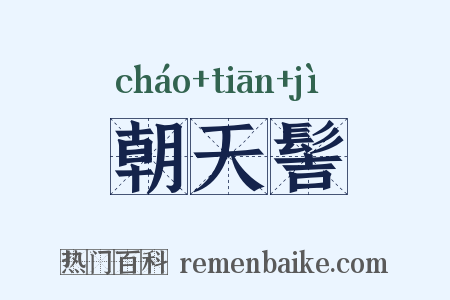 朝天髻是什么意思的图片